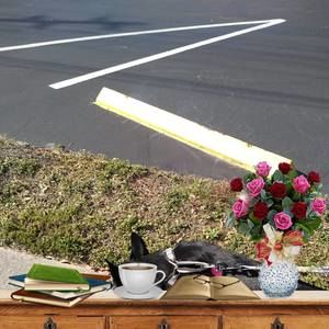 Meet your Posher, Shawn